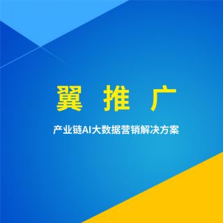 中國網(wǎng)絡(luò)營銷集團地址